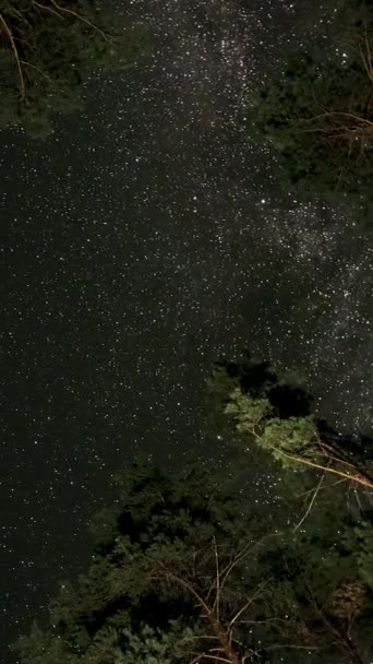 天の川銀河のタイムラウンドは木のシルエットの上を移動します 星空の夜の背景 エピックビデオ 垂直映像 — ストック動画