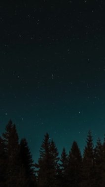 Gece gökyüzündeki bir ormanın üzerinde hareket eden yıldızların zamanaşımı. Yıldızlı gece geçmişi. Destansı video, dikey görüntü