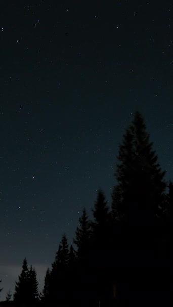 Χρονικό Κενό Κινούμενων Αστεριών Πάνω Από Ένα Δάσος Στον Νυχτερινό — Αρχείο Βίντεο