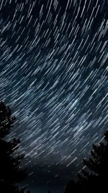 Yıldız 'ın gece gökyüzündeki ağaç siluetlerinin üzerindeki zaman aralıkları. Destansı video, dikey görüntü