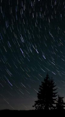 Yıldızların gece gökyüzünde yer değiştirmesi, yıldızların kutup yıldızının etrafında hareket etmesi, ağaç siluetlerinin üzerinde dikey görüntüler.