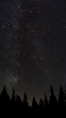 Gece gökyüzündeki bir ormanın üzerinde hareket eden yıldızların zamanaşımı. Yıldızlı gece geçmişi. Destansı video, dikey görüntü