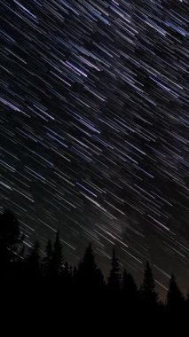 Gece gökyüzünde Yıldız 'ın zaman atlaması. Yıldızlar bir kutup yıldızının etrafında döner, dikey görüntüler