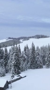 Huzurlu bir dağ manzarasında, karla kaplı çam ağaçları ve rahat kulübelerin sergilendiği sakin bir manzara. Dikey görüntüler