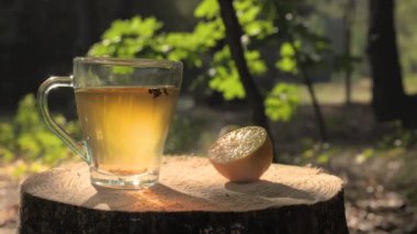 Ormandaki bir ağaç kütüğündeki bir bardak çay ve limon diliminin yakın plan görüntüsü. Güneş yaprakların arasından parlıyor, sahneye sıcak bir parıltı saçıyor..