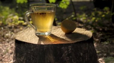 Ormandaki bir ağaç kütüğündeki bir bardak çay ve limon diliminin yakın plan görüntüsü. Güneş yaprakların arasından parlıyor, sahneye sıcak bir parıltı saçıyor..