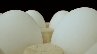 Karton bir karton kutuda beyaz tavuk yumurtası yakın çekim. Yumurtalar sıra sıra dizilir ve karton kahverengi kartondan yapılır. Video, karanlık bir stüdyoda çekiliyor..