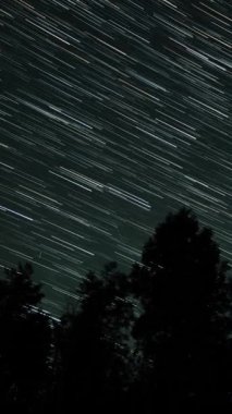 Kuyrukluyıldız şeklindeki yıldızların gece gökyüzünde orman boyunca zaman geçişi. Yıldızlar bir kutup yıldızının etrafında döner, dikey görüntüler