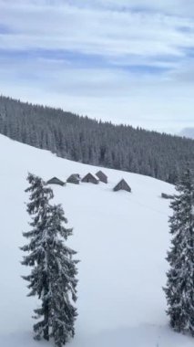 Huzurlu bir dağ manzarasında, karla kaplı çam ağaçları ve rahat kulübelerin sergilendiği sakin bir manzara. Dikey görüntüler