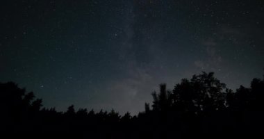 Hareket eden yıldızların ve gece gökyüzünde ağaçların üzerinde Samanyolu 'nun zamanı. Efsanevi video 4K