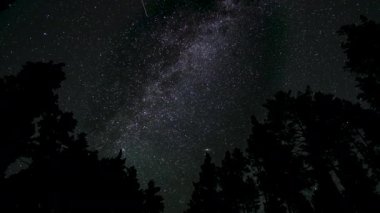 Samanyolu 'nun ışıl ışıl parladığı geceyarısı ormanının sakinliğini hissedin. Uzun ağaçlar, sayısız yıldızın nefes kesici manzarasını çerçeveler. Zaman aşımı