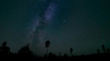 Gökyüzünü aydınlatan sayısız yıldızın olduğu açık bir gecede sakin bir orman. Samanyolu ufuk boyunca uzanır ve evrene nefes kesici bir bakış açısı sunar..