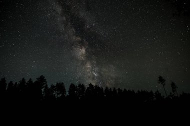 Ormanın üzerinde Samanyolu Galaksisi. Yıldızlı gece arkaplanı.