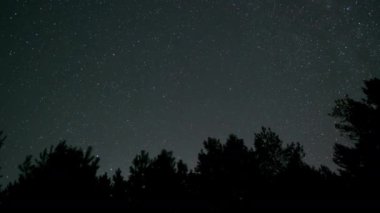 Yıldızların zaman akışı gece gökyüzündeki ağaçların siluetlerinin üzerinde hareket eder.