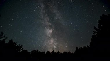 Samanyolu 'nun nefes kesen görüntüsü, izleyiciler uzun ağaçlarla çevrili bir yaz gecesinde yıldızları izlemenin keyfini çıkarırken gökyüzünde hızla yayılıyor..