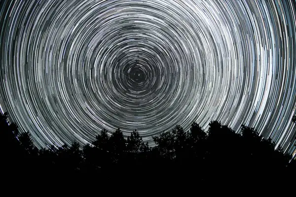 Gece gökyüzünde yıldız izleri. Yıldızlar bir kutup yıldızının etrafında döner. Ağaçların siluetleri