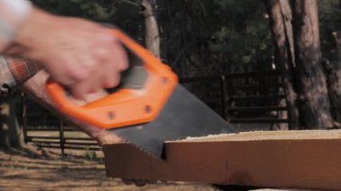 Huzurlu bir orman ortamında uzun ağaçlarla çevriliyken bir odun parçasını kesmek için el testeresi kullanan bir insan. Odak noktası testere hareketinin hassasiyeti..