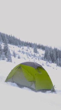 Canlı yeşil bir çadır, uzun ve yeşil ağaçların arasına kurulmuş kalın bir kar örtüsünün içinde oturur. Kış manzarası sakin ve soğuk bir atmosfer sergiliyor..