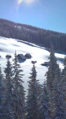 Huzurlu bir sabah manzarası. Karla kaplı çam ağaçları ve huzurlu bir dağ manzarasında rahat kulübeler. Dikey görüntüler