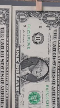Bir dolarlık banknotun yakın çekiminde George Washingtons 'ın portresi, seri numarası ve hazine mührü doğal ışıkta görülüyor..