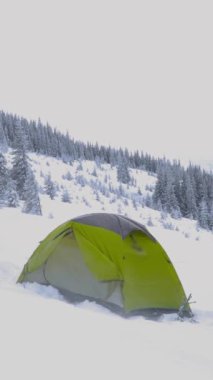 Canlı yeşil bir çadır, uzun ve yeşil ağaçların arasına kurulmuş kalın bir kar örtüsünün içinde oturur. Kış manzarası sakin ve soğuk bir atmosfer sergiliyor..