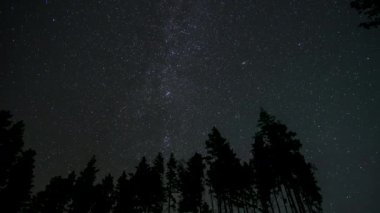 Yıldızların zaman akışı gece gökyüzündeki ağaçların siluetlerinin üzerinde hareket eder.