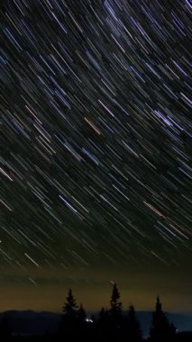 Kuyrukluyıldız şeklindeki yıldızların gece gökyüzünde orman boyunca zaman geçişi. Yıldızlar bir kutup yıldızının etrafında döner, dikey görüntüler
