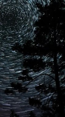 Kuyrukluyıldız şeklindeki yıldızların gece gökyüzünde orman boyunca zaman geçişi. Yıldızlar bir kutup yıldızının etrafında döner, dikey görüntüler