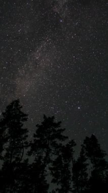 Samanyolu Galaksisi 'nin zaman aralığı ağaç siluetlerinin üzerinde ilerliyor. Yıldızlı gece geçmişi. Destansı video, dikey görüntü