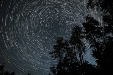 Nefes kesen bir manzara yıldızların hareketlerini yakalar ve sakin bir ormanın üzerindeki gece gökyüzünde izler bırakır. Yükselen ağaçlar büyüleyici gökyüzü gösterisini çerçeveliyor.
