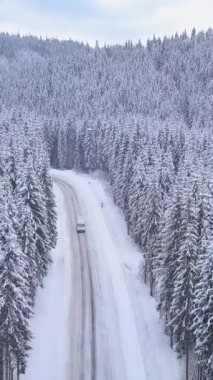 Kış ormanındaki bir dağ yolunun havadan görünüşü. Güzel kış manzarası, dikey görüntüler