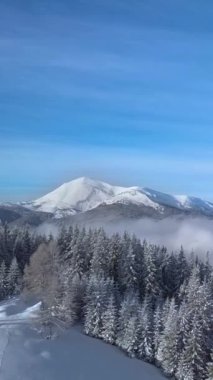 Çarpıcı bir hava manzarası karla kaplı dağların ve sık bir ormanın dingin güzelliğini yakalar. Manzara, yumuşak yamaçlar ve berrak mavi bir gökyüzü içeriyor. Huzuru çağrıştırıyor. Dikey görüntüler