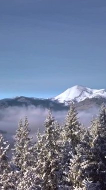 Hava manzarası, açık mavi gökyüzünün altında karla kaplı görkemli bir dağ sırasını yakalar. Yeşiller yemyeşil ağaçlar ön tarafı kaplayarak çarpıcı bir kış manzarası yaratıyor. Dikey görüntüler