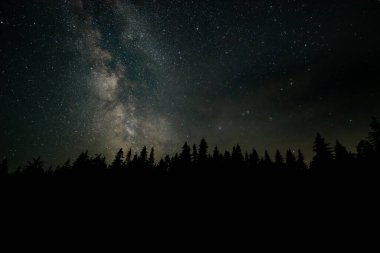 Nefes kesen bir manzara, sayısız yıldızın ve Samanyolu 'nun ufuk boyunca uzandığı berrak bir gece gökyüzüne karşı bir orman silueti oluşturur ve sakin bir atmosfer yaratır..