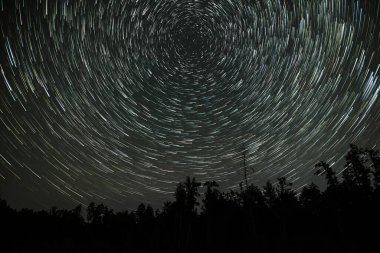 Açık bir gecede yoğun bir ormanın üzerinde dönen yıldızların izlerini yakalar ve kozmosun güzelliğini ağaçların siluetine karşı gösterir..