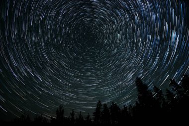 Yıldızlar karanlık bir ormanın üzerinde gece gökyüzünde güzel izler bırakırlar. Dünya 'nın dönüşünü sergilerken aynı zamanda dingin manzarayı aydınlatırlar..