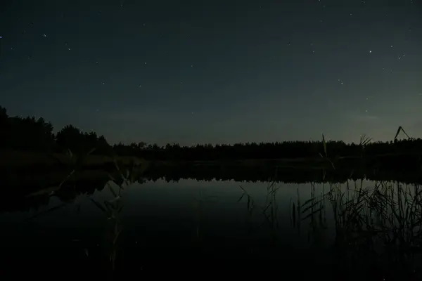 Yıldızlar, sakin bir gölün üzerinde parıldar. Gece gökyüzünü yansıtır. Suların kenarında sık ağaçlar doğada sakin bir atmosfer yaratır..