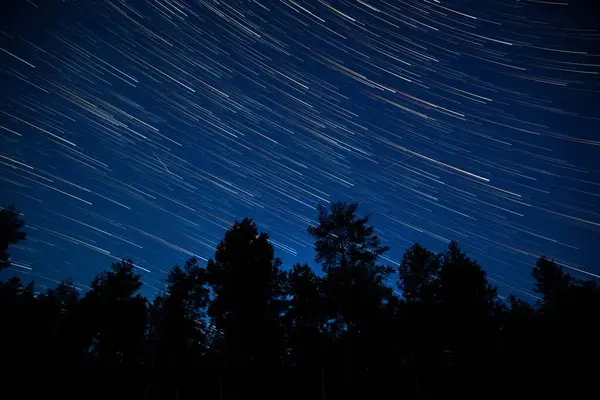 Yıldız izleri, sakin bir orman ortamındaki uzun ağaçların siluetinin üzerindeki gece gökyüzünü canlı bir şekilde aydınlatır. Açık bir akşam göksel hareketin çarpıcı görüntüsünü arttırır..