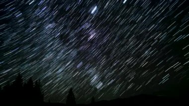 Huzurlu bir ormanda yıldızlar, gece gökyüzünde evrenin güzelliğini gösteren çarpıcı izler bırakırlar. Bu ilahi dans, hayranlık ve meraka davetiye çıkarır..