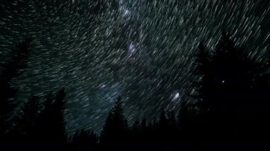 Yıldızların nefes kesen görüntüsü, huzurlu bir ormanın üzerinde gece gökyüzünde yıldızlara bakmanın özünü ve huzur içinde astronominin harikalarını yakalıyor..