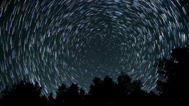 Yıldızların zaman atlaması karanlık bir ağaç siluetinin üzerinde gece gökyüzünde dairesel izler oluşturur, gözden uzak bir ormanda gece vakti astrofotoğrafçılığın güzelliğini gözler önüne serer..