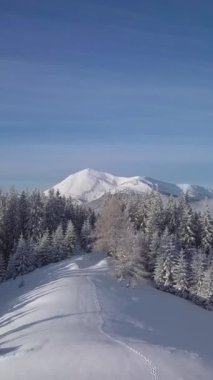 Karla kaplı bir dağ ve sık bir ormanın sergilendiği sakin bir kış manzarasının havadan görünüşü. Parlak mavi gökyüzü bu barışçıl ortamda doğanın çarpıcı güzelliğine katkı sağlıyor. Dikey görüntüler