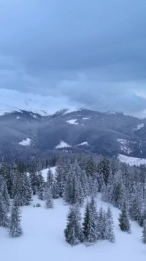 Yüksek yeşil ağaçlar topraktan yükselirken kar manzarayı örtüyor ve sakin bir kış manzarası yaratıyor. Uzaktaki görkemli dağ sırasının üzerinde bulutlar uçuşuyor. Dikey görüntüler