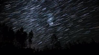 Yıldızlardan gelen ışık çizgileri karanlık gece gökyüzünü aydınlatır. Orman üzerinde büyüleyici bir etki yaratır. Doğanın güzelliğini ve uçsuz bucaksız evreni gösterir..