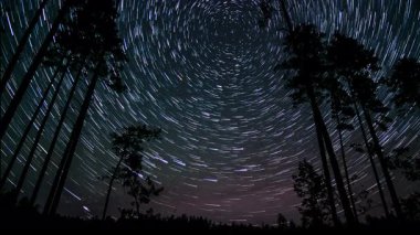 Yıldız izleri, yüksek ağaçların siluetinin bulunduğu sakin bir ormanın üzerindeki gece gökyüzünü aydınlatır. Görüntü, açık bir gecede göksel hareketin güzelliğini yakalar..