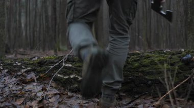 Sırt çantalı bir adam sonbahar ormanında yosun kaplı bir kütüğün üzerinden güvenle yürür. Toprak nemli ve düşen yapraklar etrafa saçılmış.