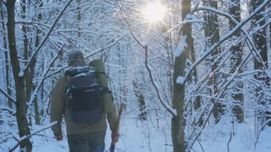 Bir insan kış boyunca sakin bir ormanda karlı bir patika boyunca yürür. Güneş ışığı ağaçların arasından süzülür, huzurlu manzarayı aydınlatır, barışçıl bir atmosfer yaratır..