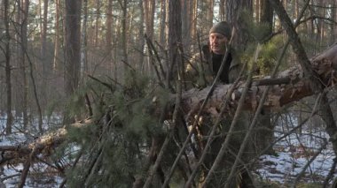 Kış Ormanı 'nda bir sığınak inşa eden adam karlı bir ormanda çam ve dallar kullanarak bir çalı sığınağı inşa ediyor..
