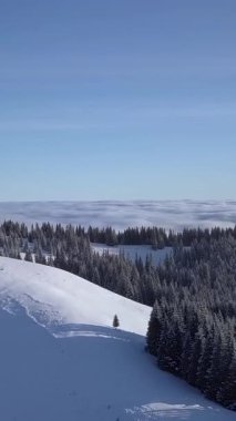Büyüleyici hava perspektifi kayan karla kaplı tepeleri ve açık mavi gökyüzünün altındaki sık yeşil ormanları gösteriyor. Uzak bir arazide sakin bir kış manzarası. Dikey görüntüler