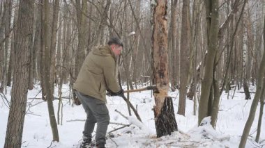Kış Ormanı 'nda Balta ile Ağaç Kesen Adam, Çalı ve yakacak odun için karlı bir ormanda ağaç kesen Survivalist..